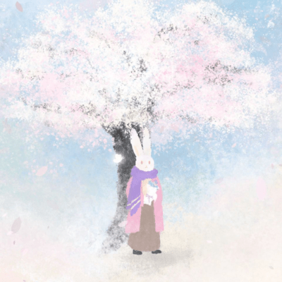 spring rabbit Front Cover