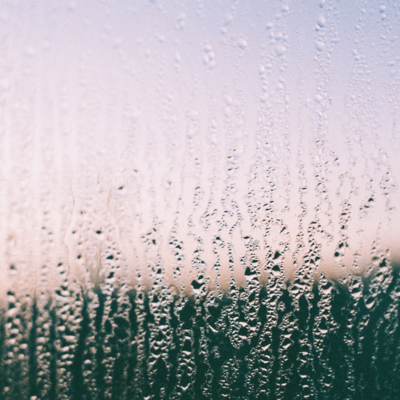 Rainshowerのジャケット写真