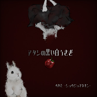 My black white rabbit Front Cover