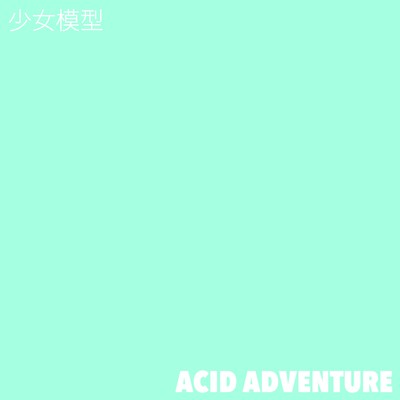 ACID ADVENTUREのジャケット写真