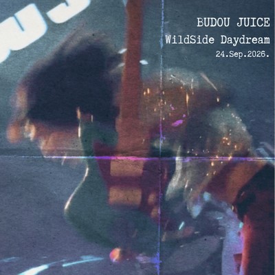 WildSide Daydream (Live Bootleg Series Vol.1) Front Cover