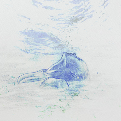 99 Problems Front Cover