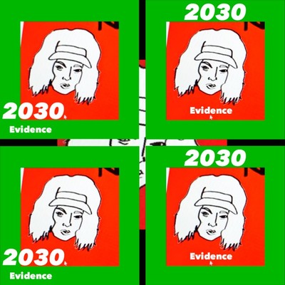 2030 Front Cover
