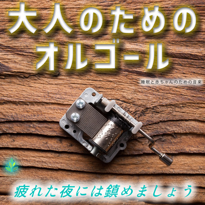 The Music Box for Adults -Soothe your tired nights- Front Cover