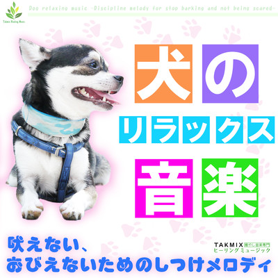 犬のリラックス音楽 〜吠えない、おびえないためのしつけメロディ〜のジャケット写真