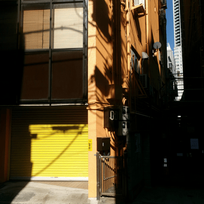 palmのジャケット写真