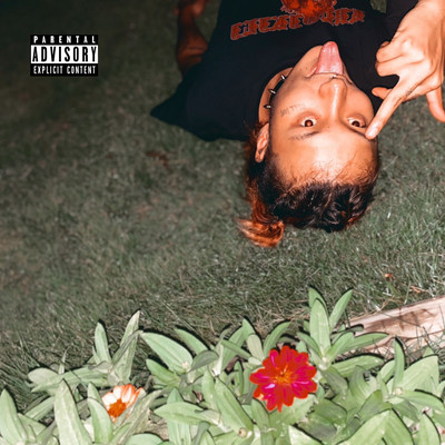 Delicate Front Cover