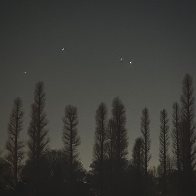 夜の秘密のジャケット写真