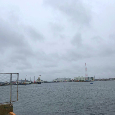 つぶやくのジャケット写真