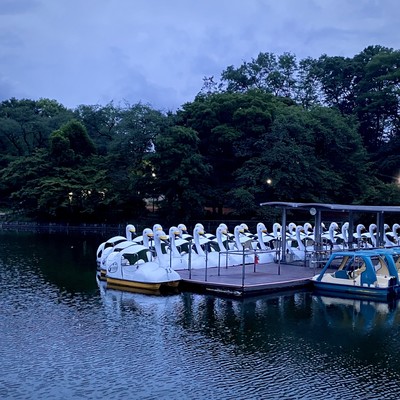 sashizume / unmeinohito Front Cover