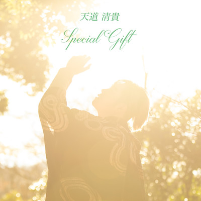 Special Gift Front Cover