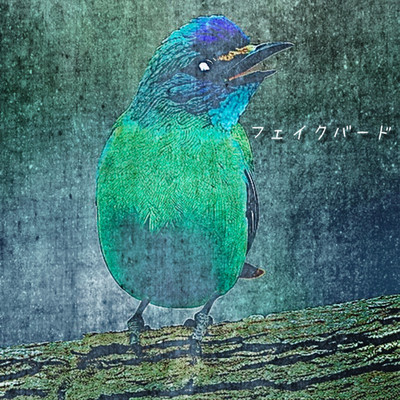 fake bird Front Cover