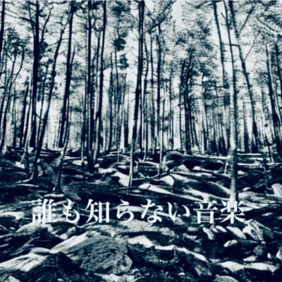 誰も知らない音楽のジャケット写真