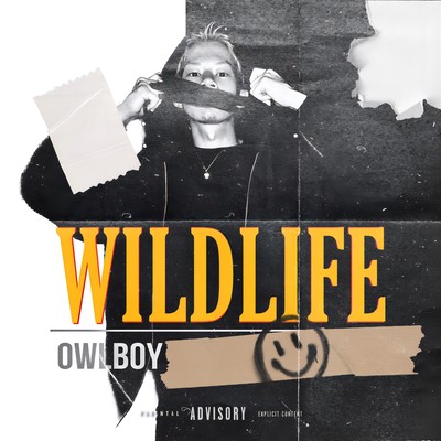 WILD LIFEのジャケット写真