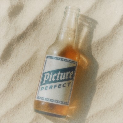 Picture perfect Front Cover