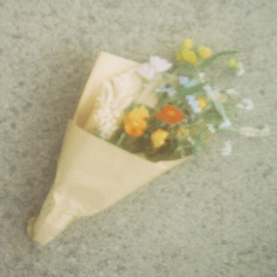 But I still want to survive with you Front Cover