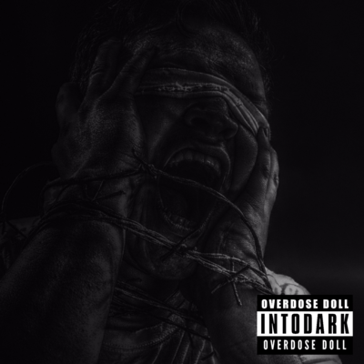 Into Darkのジャケット写真
