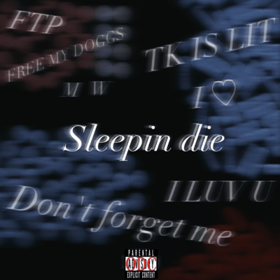sleepin die Front Cover