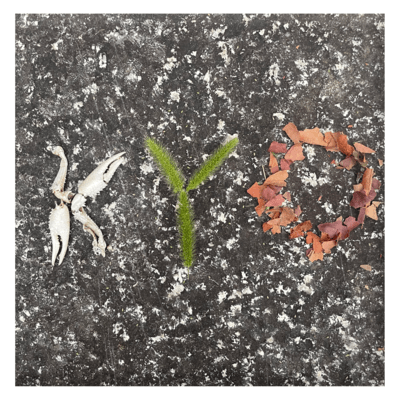 Unleash Meのジャケット写真