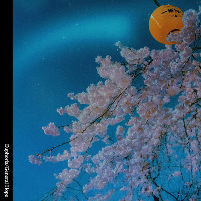 Euphoria Front Cover