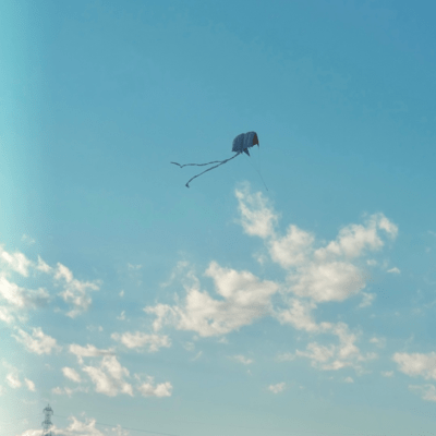 Afraid of tomorrow Front Cover