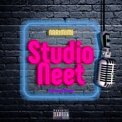 Studio Neet Front Cover