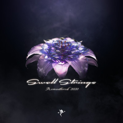 Swell Strings Remasterd 2020 Front Cover