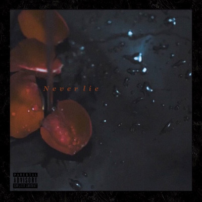 Never lie Front Cover