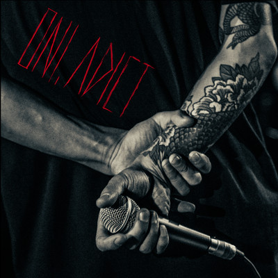 火宅の人 ADDICTのジャケット写真