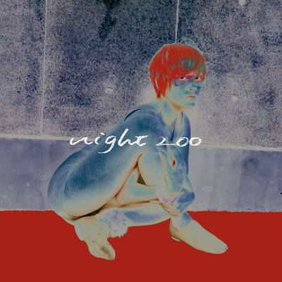 night zoo Front Cover