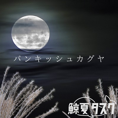 パンキッシュカグヤのジャケット写真