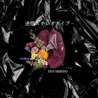 Superstition Stereotype Front Cover