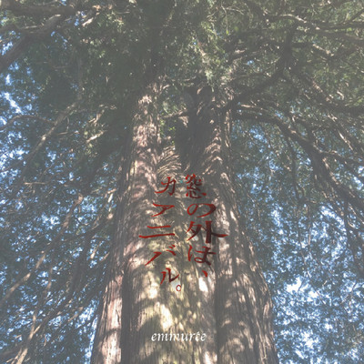 the carnival outside the window Front Cover