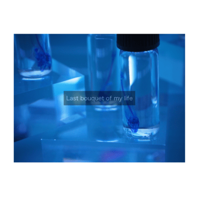 命の花束のジャケット写真