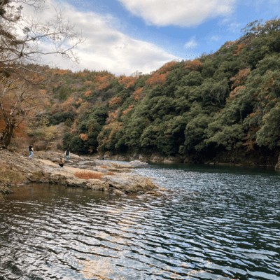 Ryu's Words Front Cover