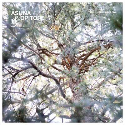 The Crepuscular Grove Front Cover