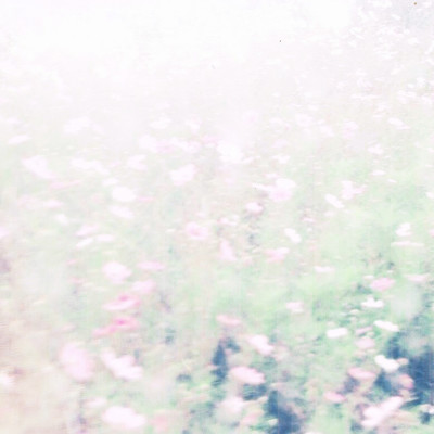 The fall rises Front Cover