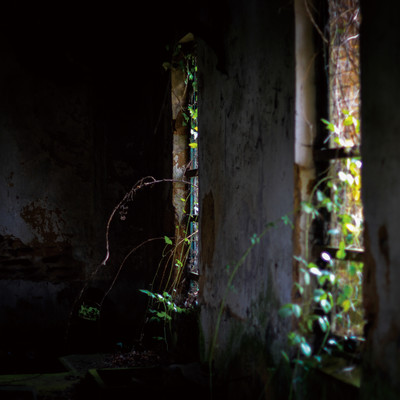 Obscured By Beams Of Sorrow Front Cover