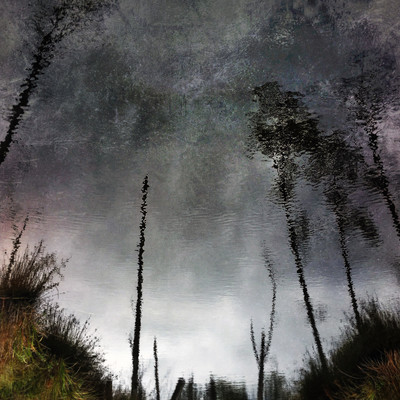 Ghost Woods Front Cover