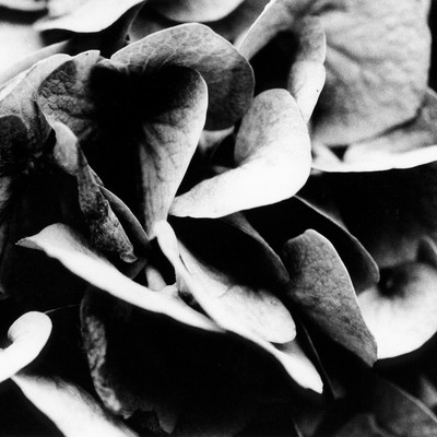 Void XXIV Front Cover