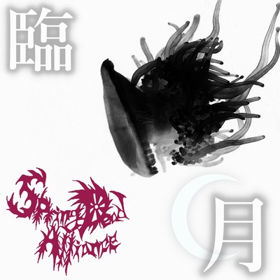 last month of pregnancy Front Cover