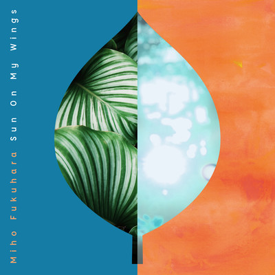 Sun on my wingsのジャケット写真