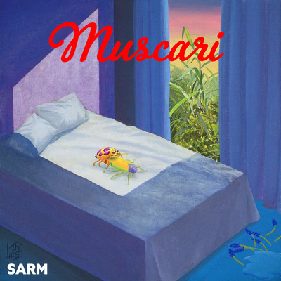 Muscari Front Cover