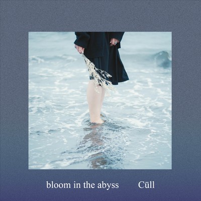 bloom in the abyssのジャケット写真
