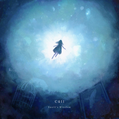 Snell's Window Front Cover