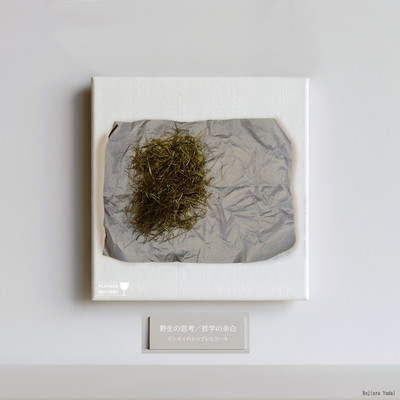 The Savage Mind/Margins of Philosophy Front Cover