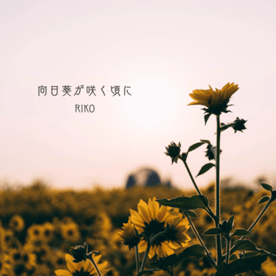 When the Sunflowers Bloom Front Cover