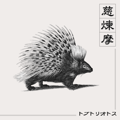 慈煉摩のジャケット写真