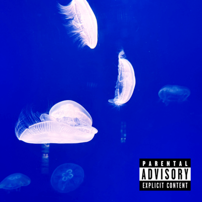 Sweaty Hands (feat. liio) Front Cover