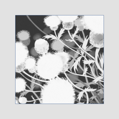 SanzanSansan Front Cover